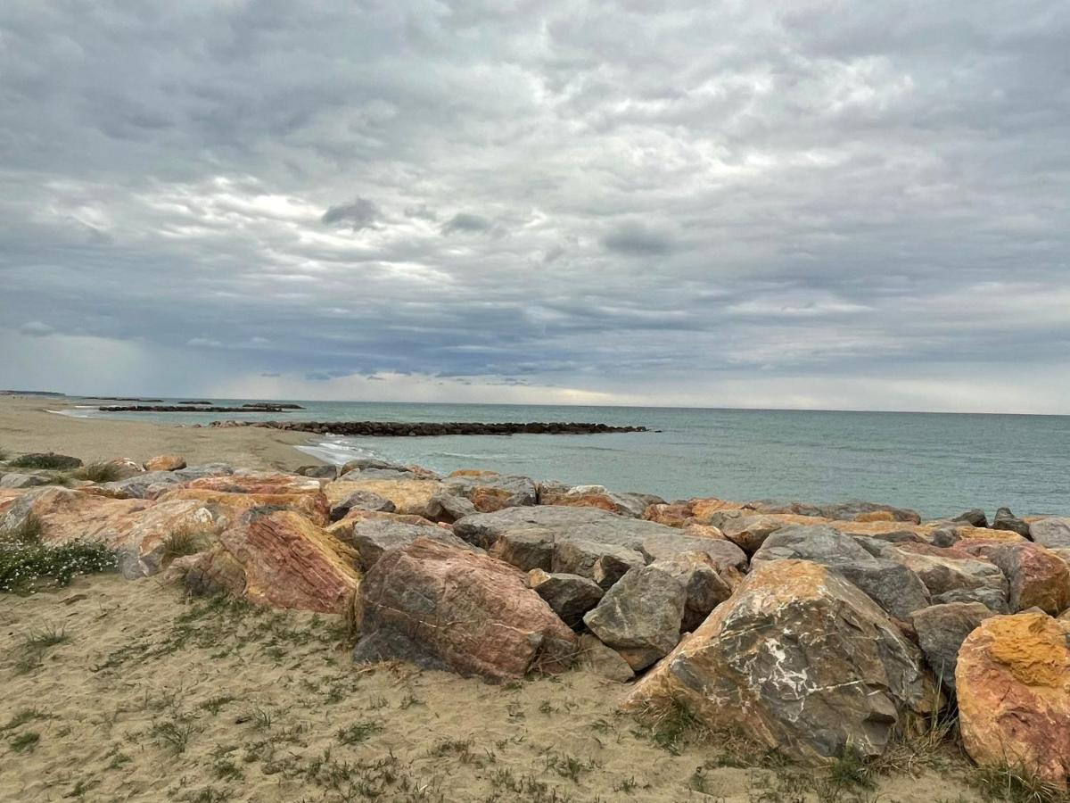 Port Barcares Vue Port Et Mer Le Barcares Luaran gambar